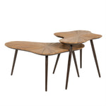 Salontafel Loma naturel teakhout set van 2, schuin vooraanzicht op witte achtergrond