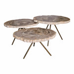 Salontafel New Khine | Set van 3 | Naturel Versteend Hout — Vooraanzicht - witfoto