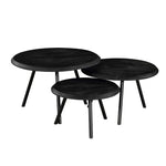 Salontafel Ohio | Set Van 3 | Mangohout