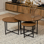 Salontafel Richwood | Set van 3 | Bruin Mangohout