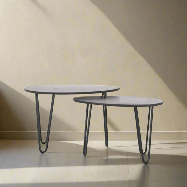 Salontafel Frisk | Zwart Mangohout