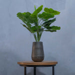 Vaas Givron | Mat Zwart