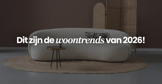 Inspirerende woonkamer met warme kleuren en organische meubels passend bij woontrends 2026
