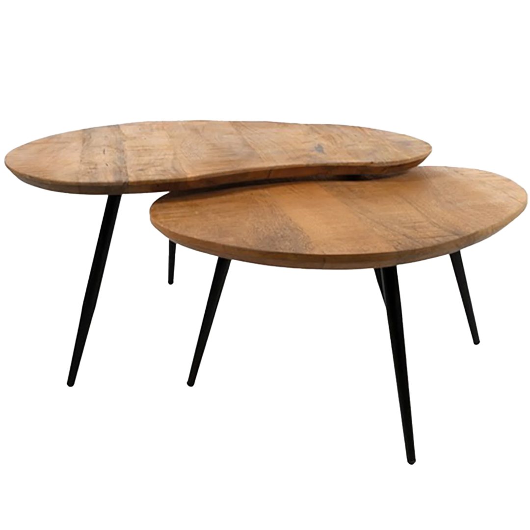 Salontafel Organische Vorm