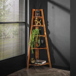 Hoekrek Angle | Mangohout