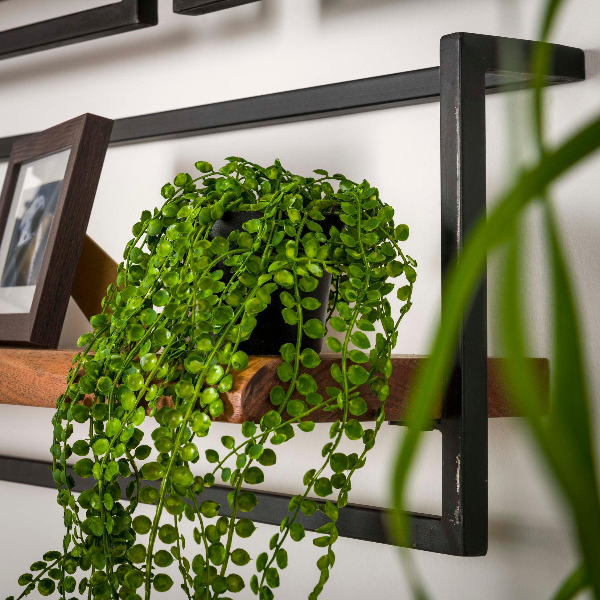 Wandplank Edge 40  | Massief Acacia Naturel