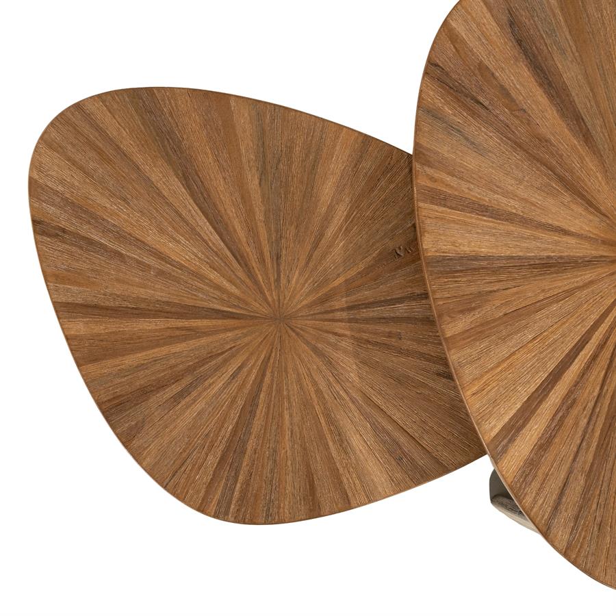 Salontafel Tala naturel teakhout set van 2, bovenaanzicht op witte achtergrond