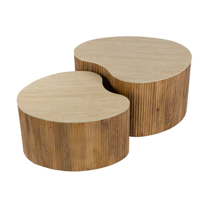 Salontafel Ferro | Mangohout Naturel