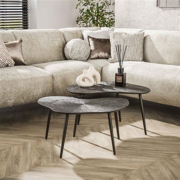 Salontafel Ray Leaf Set Van 2 | Metaal Bruin