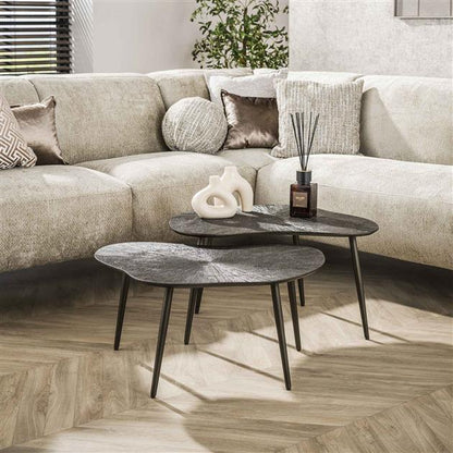 Salontafel Ray Leaf Set Van 2 | Metaal Bruin
