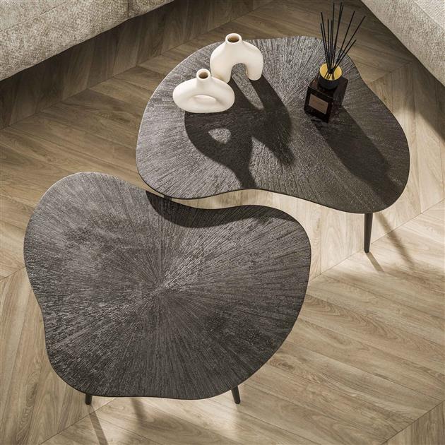 Salontafel Ray Leaf Set Van 2 | Metaal Bruin