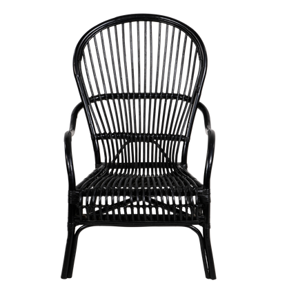 Loungestoel Nonna | Zwart Rotan