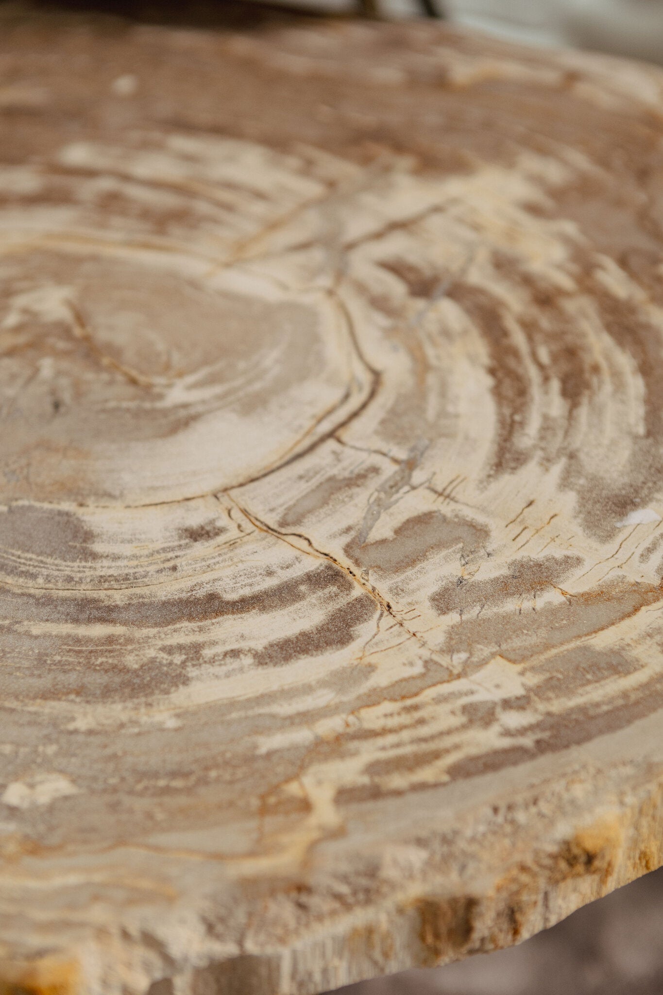 Salontafel New Khine | Set van 3 | Naturel Versteend Hout — Detail