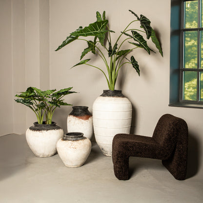 Fauteuil Oslo | Bruin