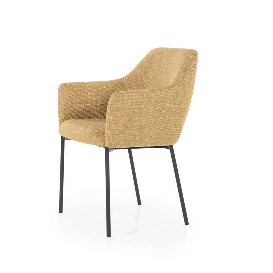 Eetkamerstoel Paul | Polyester | Met Armleuning