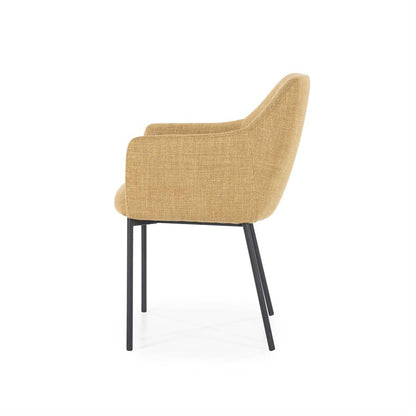 Eetkamerstoel Paul | Polyester | Met Armleuning
