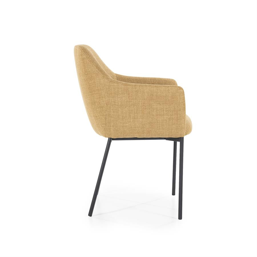 Eetkamerstoel Paul | Polyester | Met Armleuning