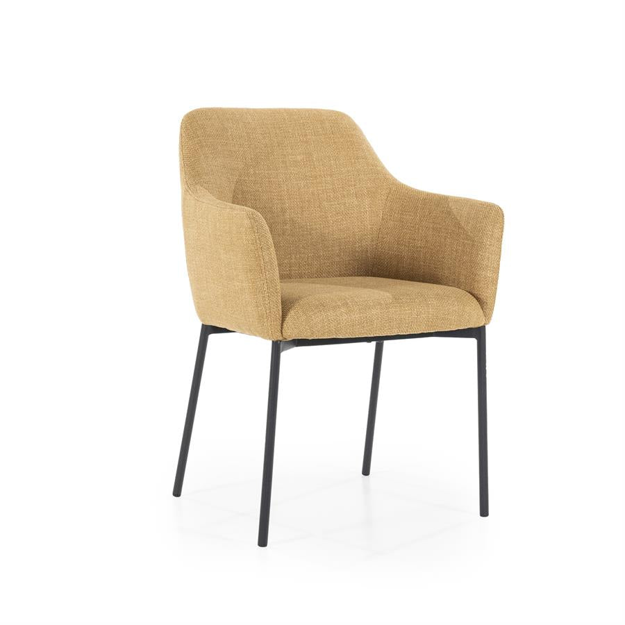 Eetkamerstoel Paul | Polyester | Met Armleuning