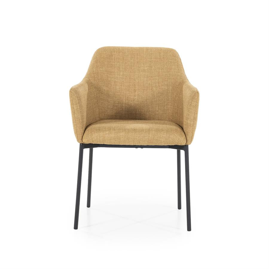 Eetkamerstoel Paul | Polyester | Met Armleuning