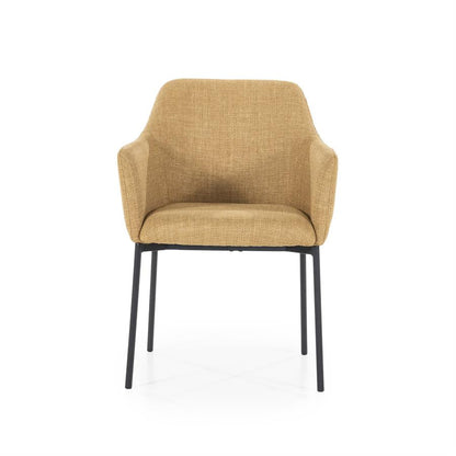 Eetkamerstoel Paul | Polyester | Met Armleuning