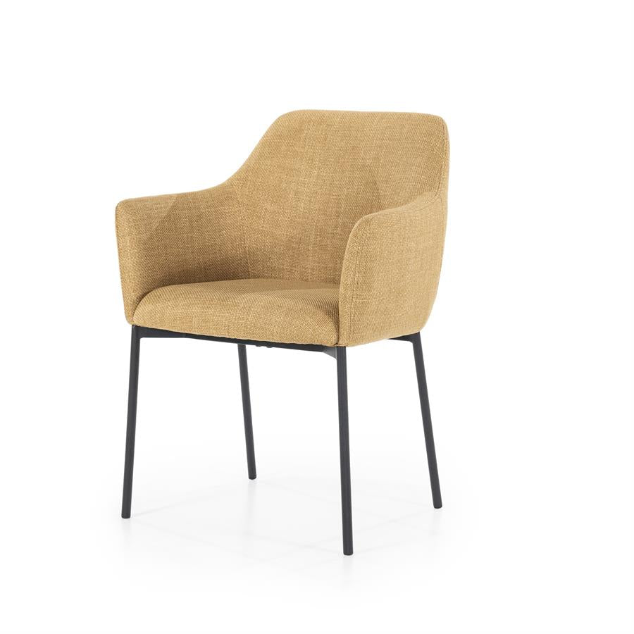 Eetkamerstoel Paul | Polyester | Met Armleuning