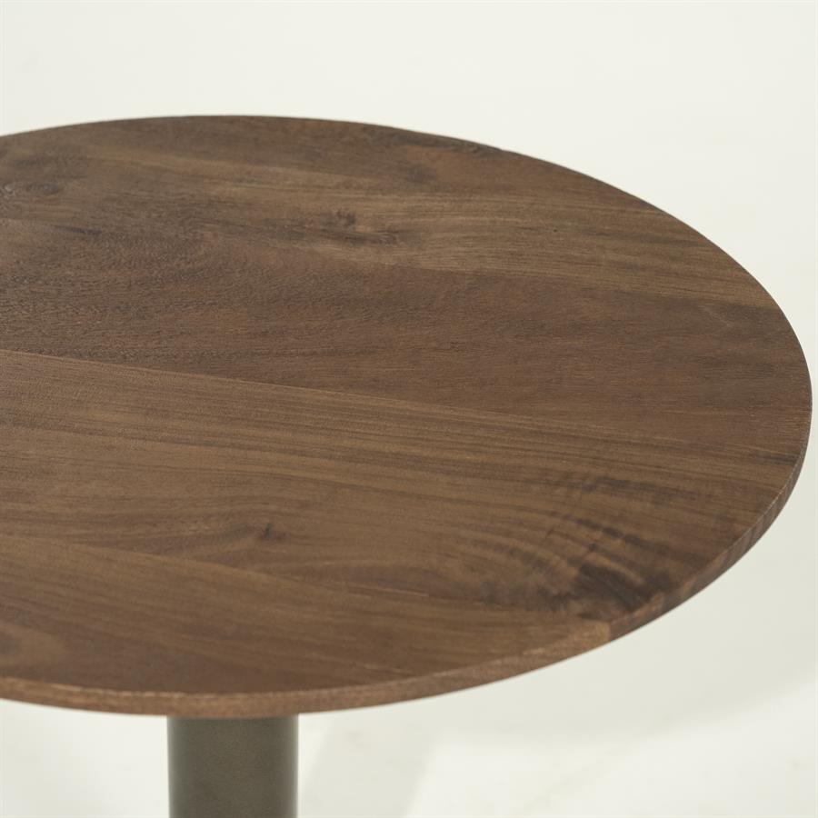 Salontafel Esila | Bruin Mangohout