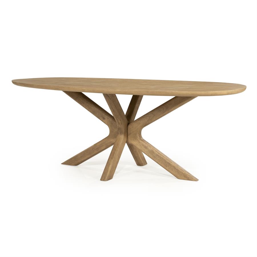 Eettafel Tycho |  Naturel Mangohout | Deens Ovaal — Zijaanzicht - witfoto