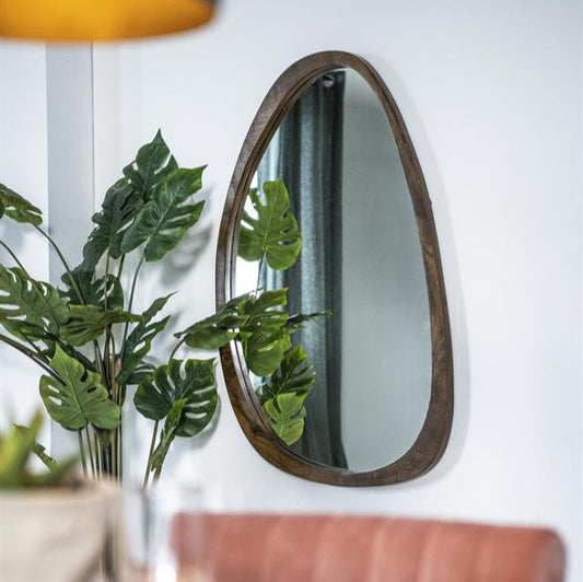 Spiegel Plecto | Bruin Mangohout