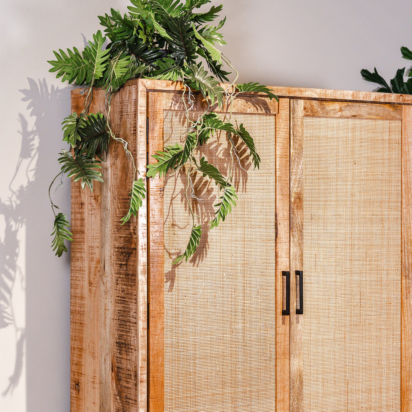 Opbergkast Carini | Naturel Mangohout