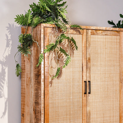 Opbergkast Carini | Naturel Mangohout