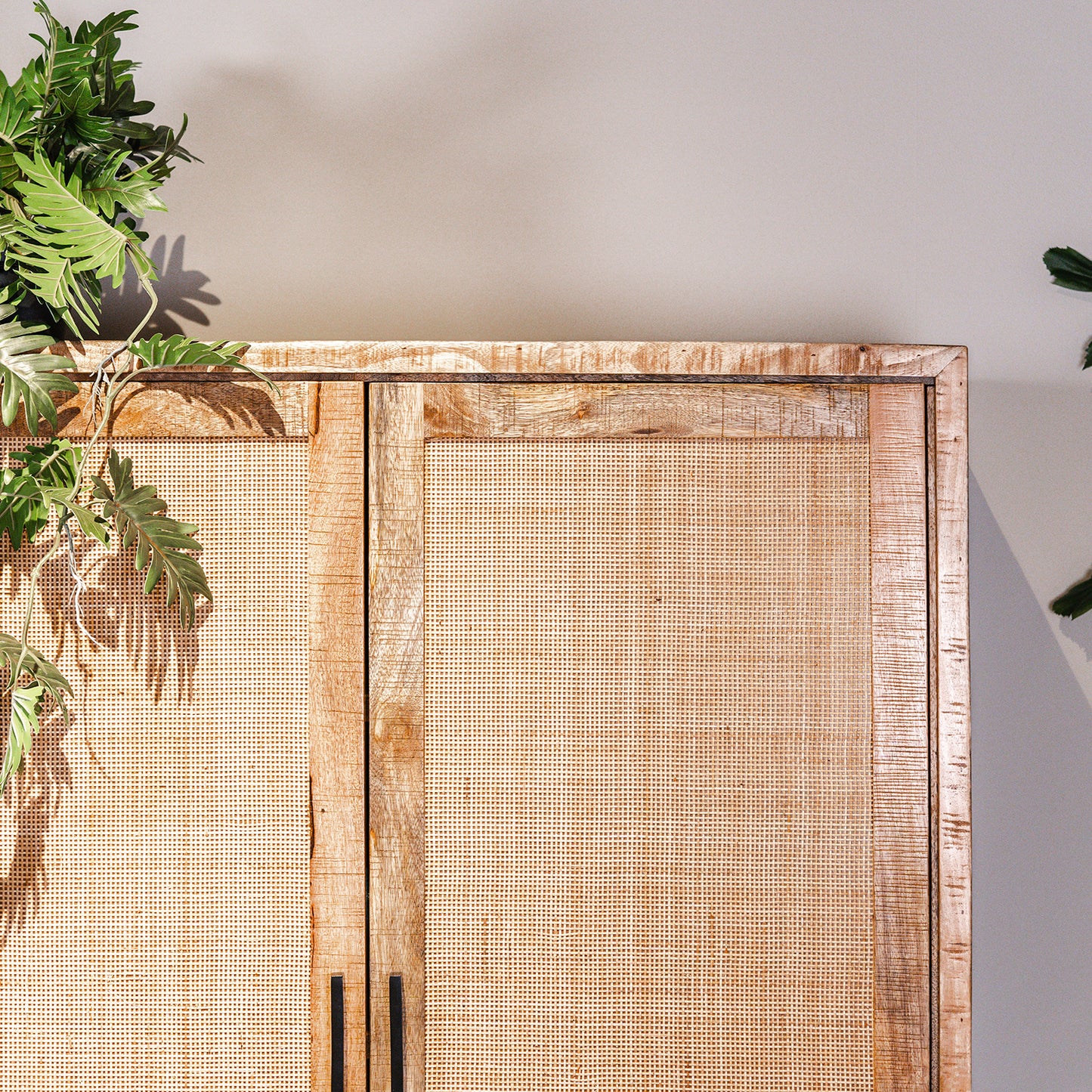 Opbergkast Carini | Naturel Mangohout