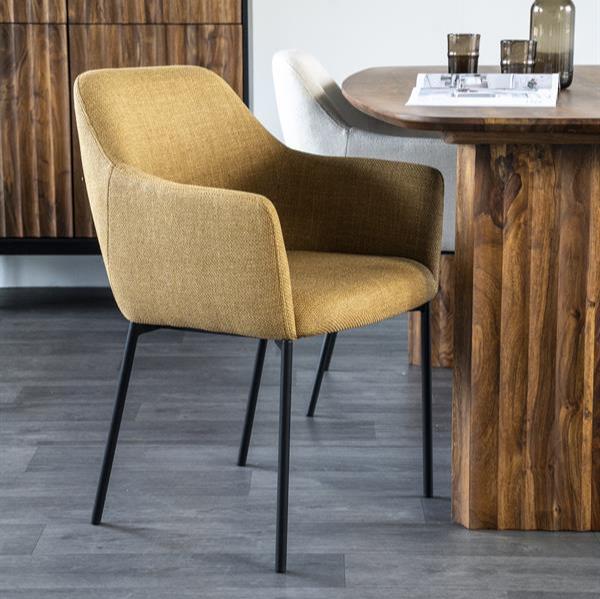 Eetkamerstoel Paul | Polyester | Met Armleuning