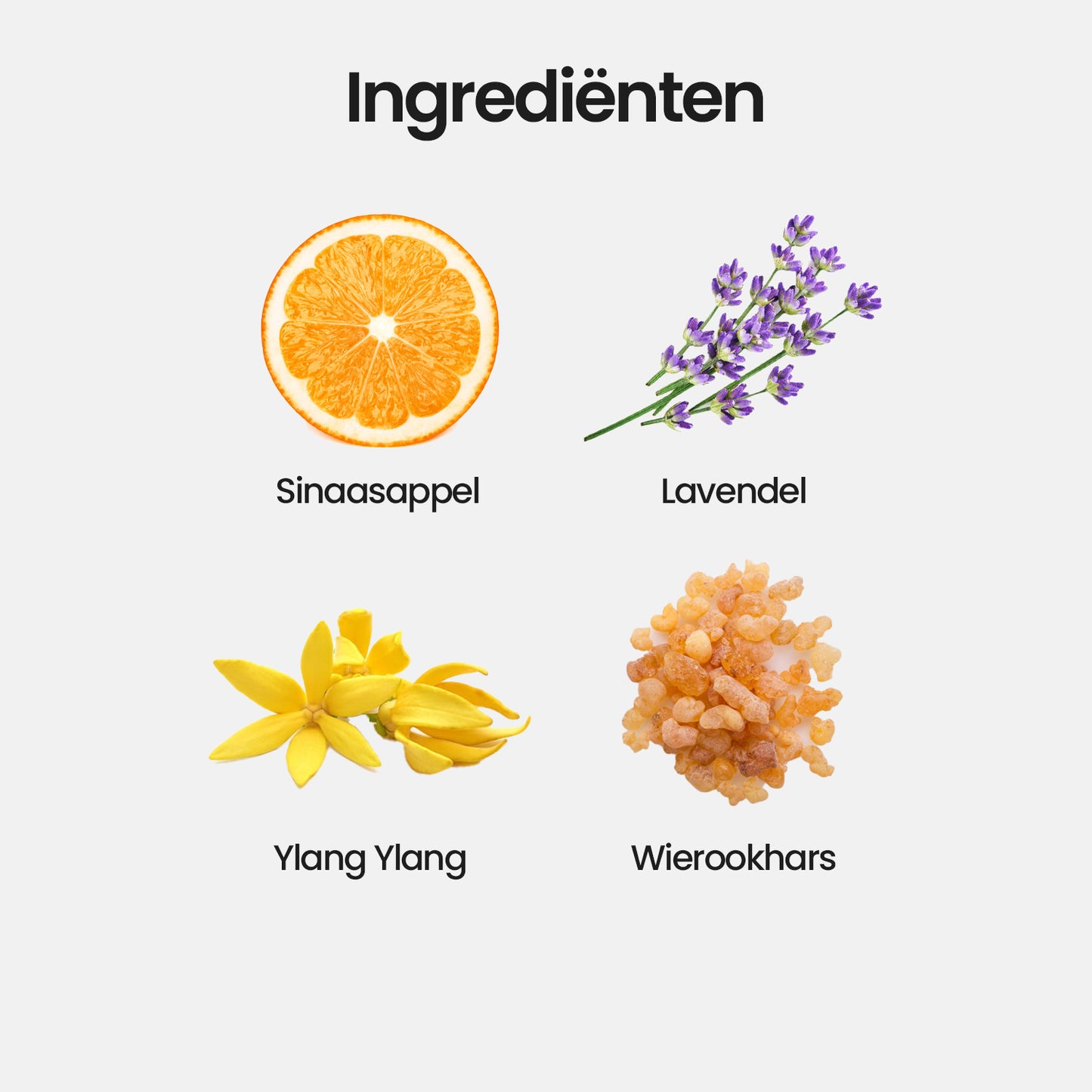 Calm | Diffuser Blend