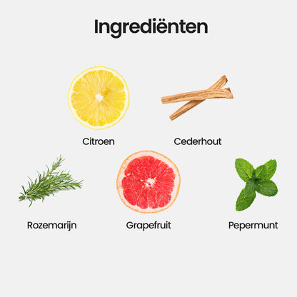 Focus | Diffuser Blend