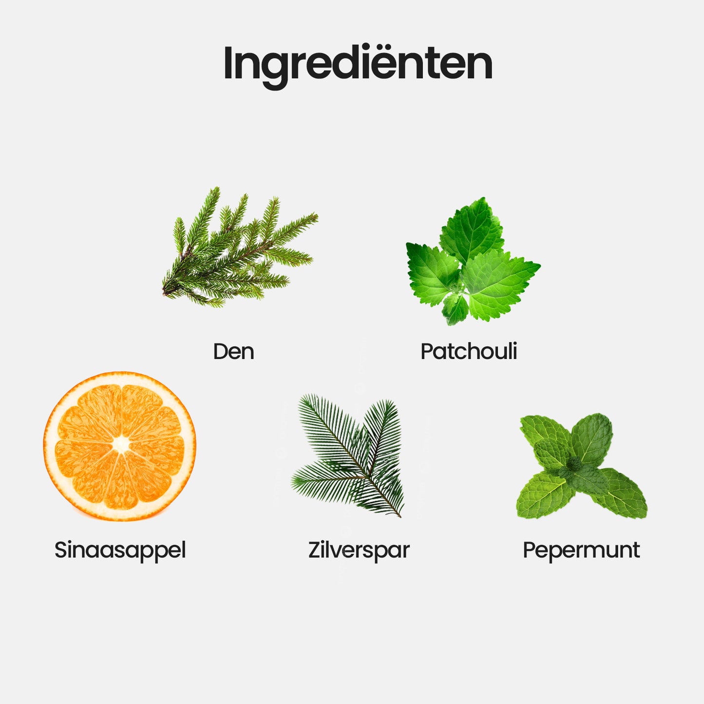 Meditation | Diffuser Blend