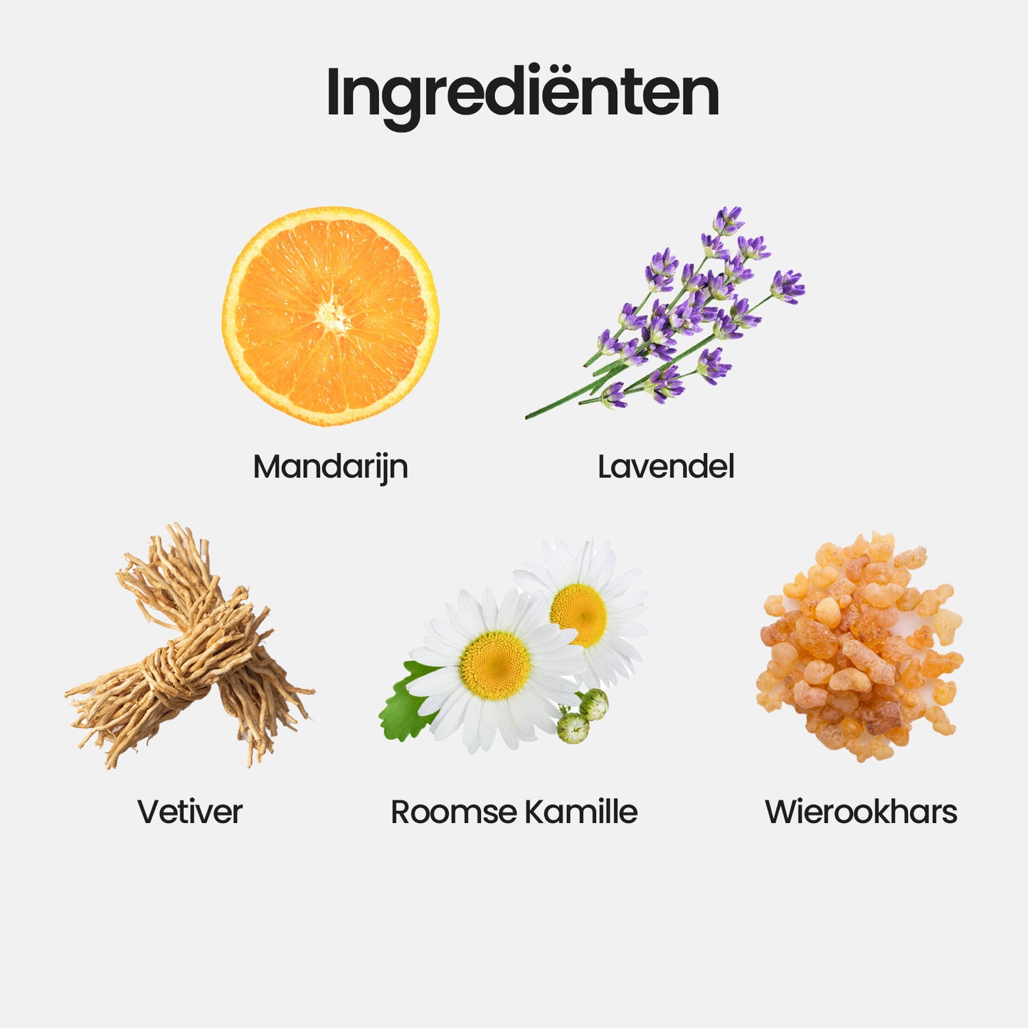 Sleep | Diffuser Blend