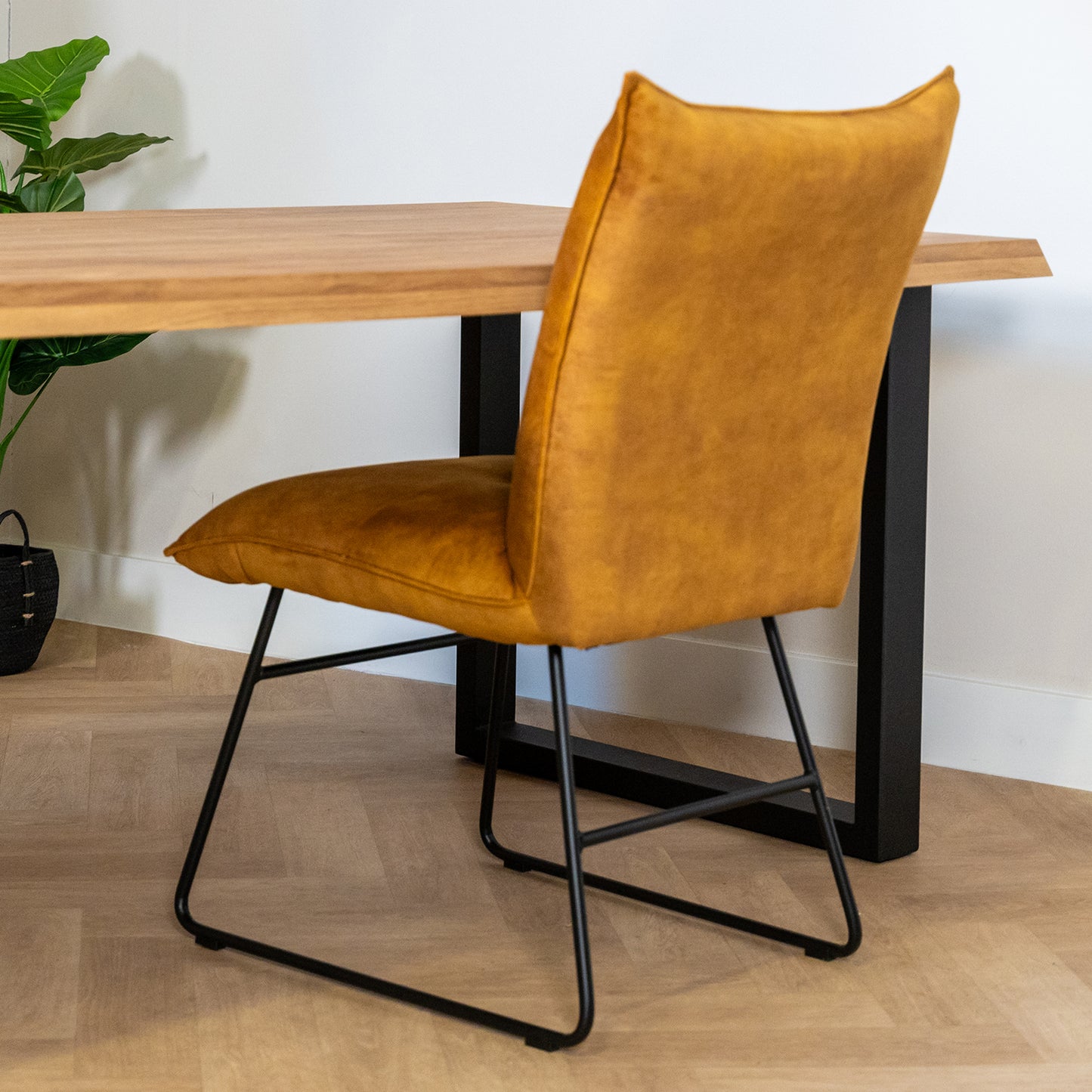 Eetkamerstoel Ivo Adore | Oker