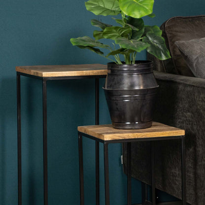 Plantenzuilen Set Vintage | Naturel Mangohout