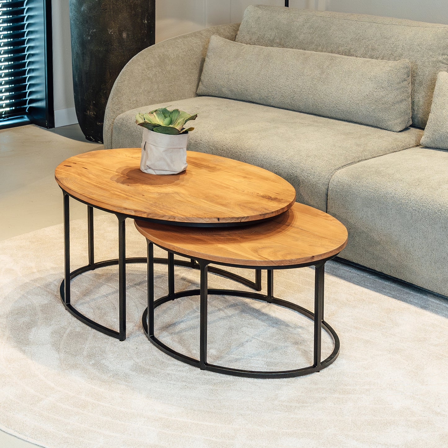 Salontafel Leipzig | Mangohout Ovaal