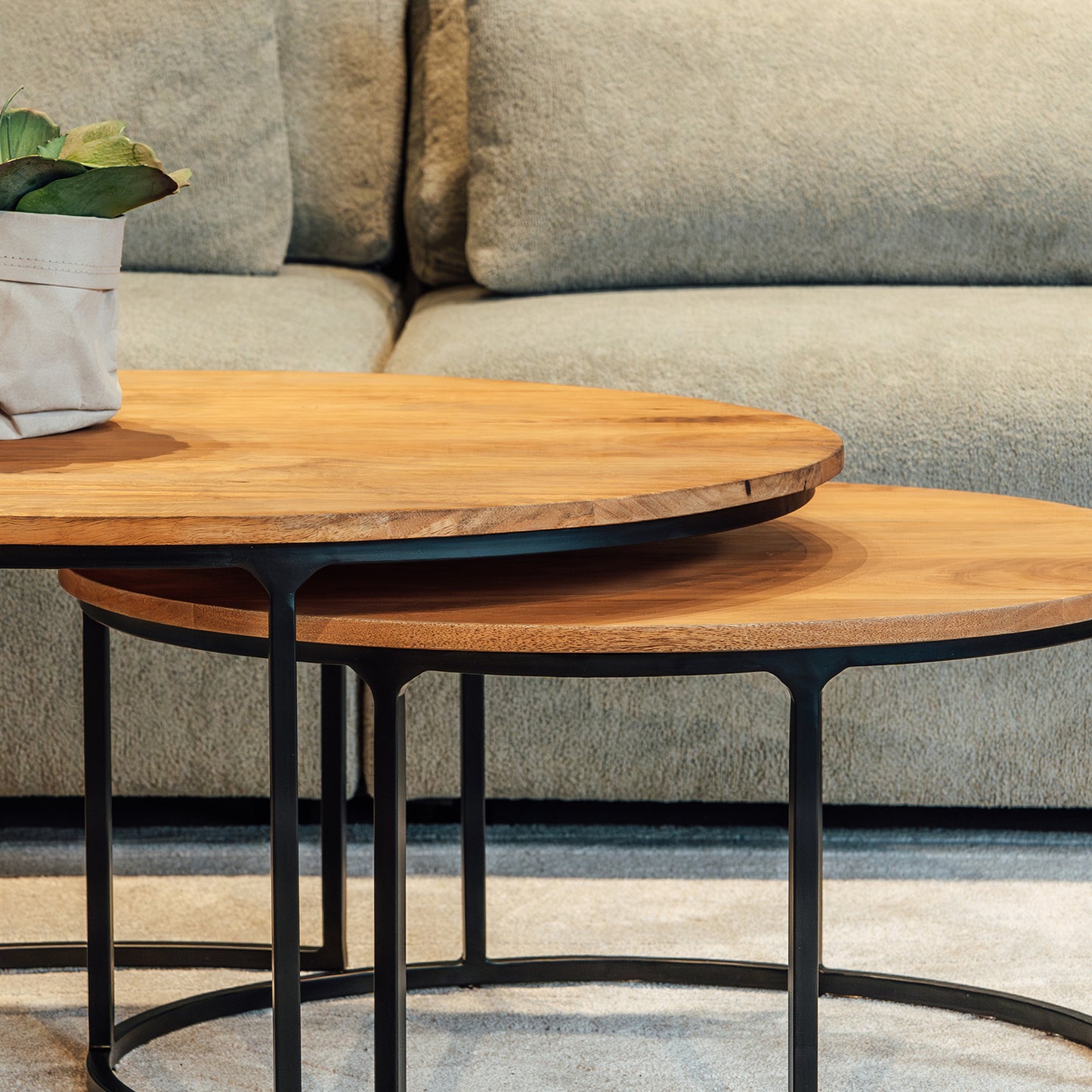 Salontafel Leipzig | Mangohout Ovaal