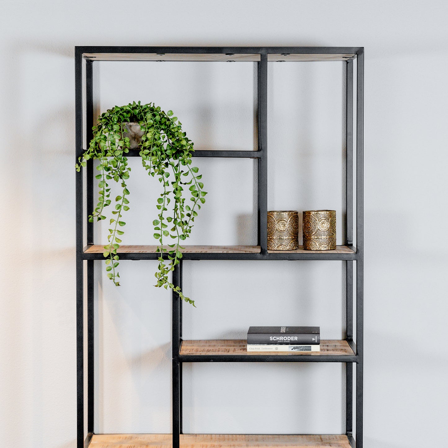 Vakkenkast Iron Lady