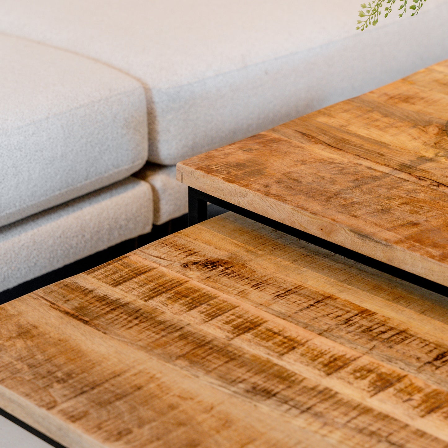 Salontafel Cuba | Naturel Mangohout