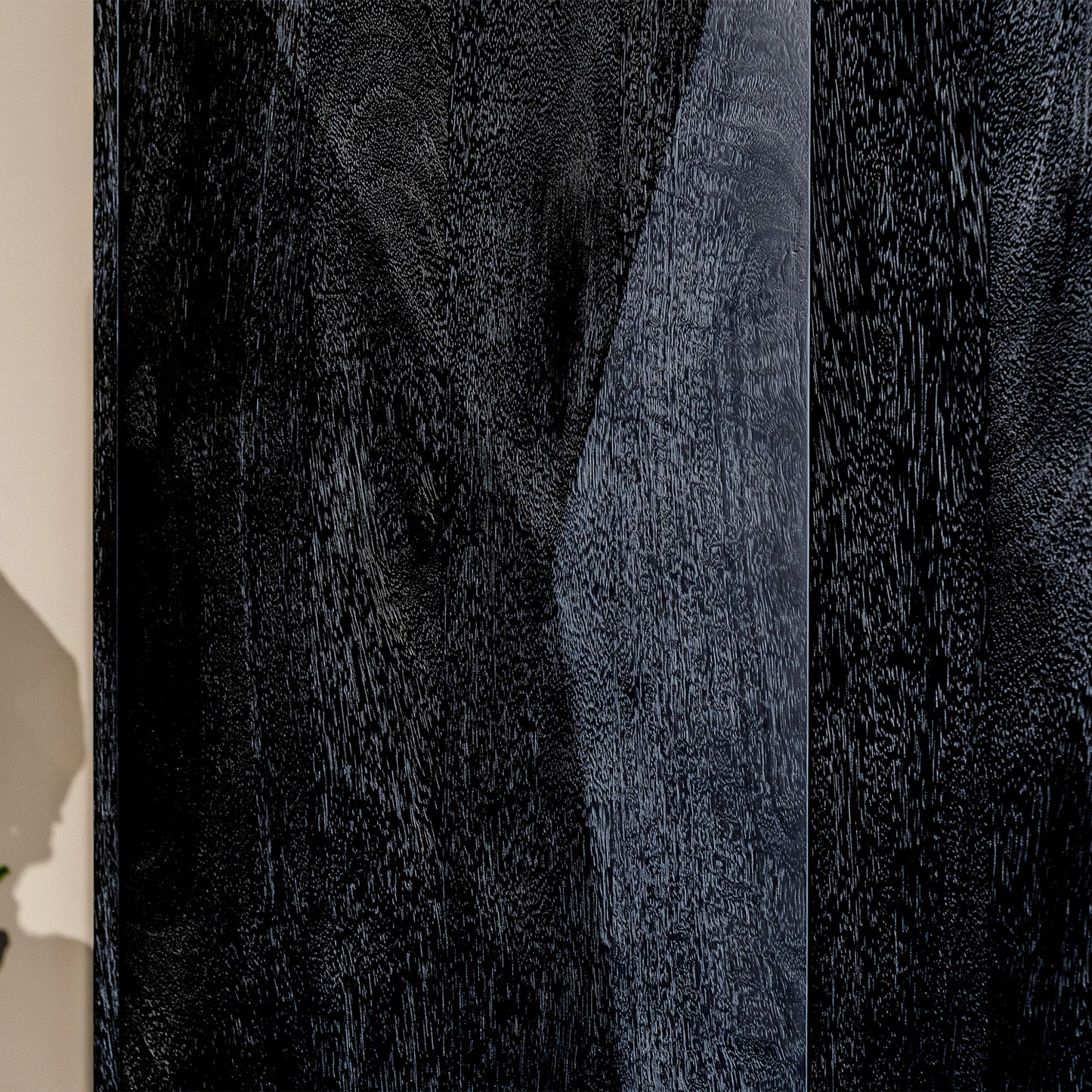 Opbergkast Onyx | Zwart Mangohout | 2 deuren