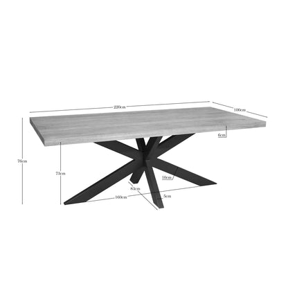 Eettafel Dakota | Naturel Mangohout | Rechthoek