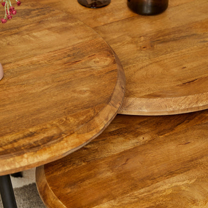 Salontafel Ohio | Set Van 3 | Mangohout