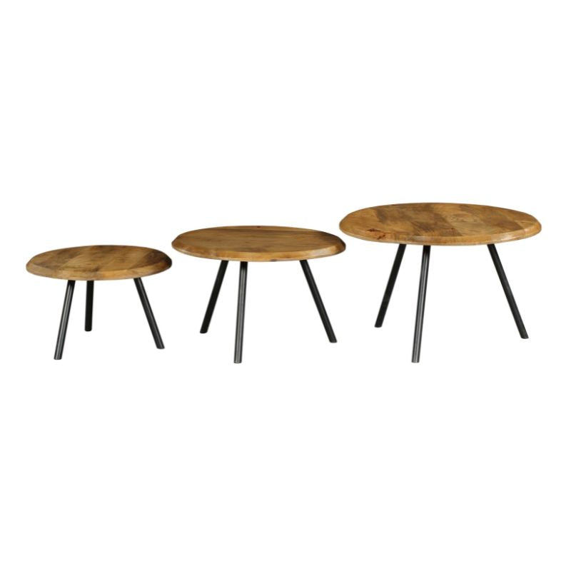 Salontafel Ohio | Set Van 3 | Mangohout