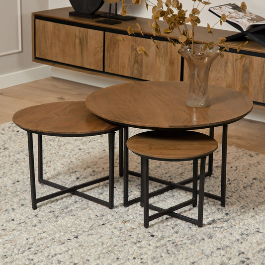 Salontafel Richwood | Set van 3 | Bruin Mangohout