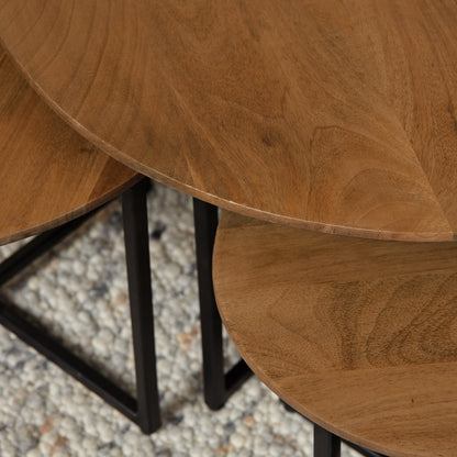 Salontafel Richwood | Set van 3 | Bruin Mangohout