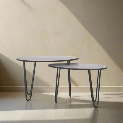 Salontafel Frisk | Zwart Mangohout