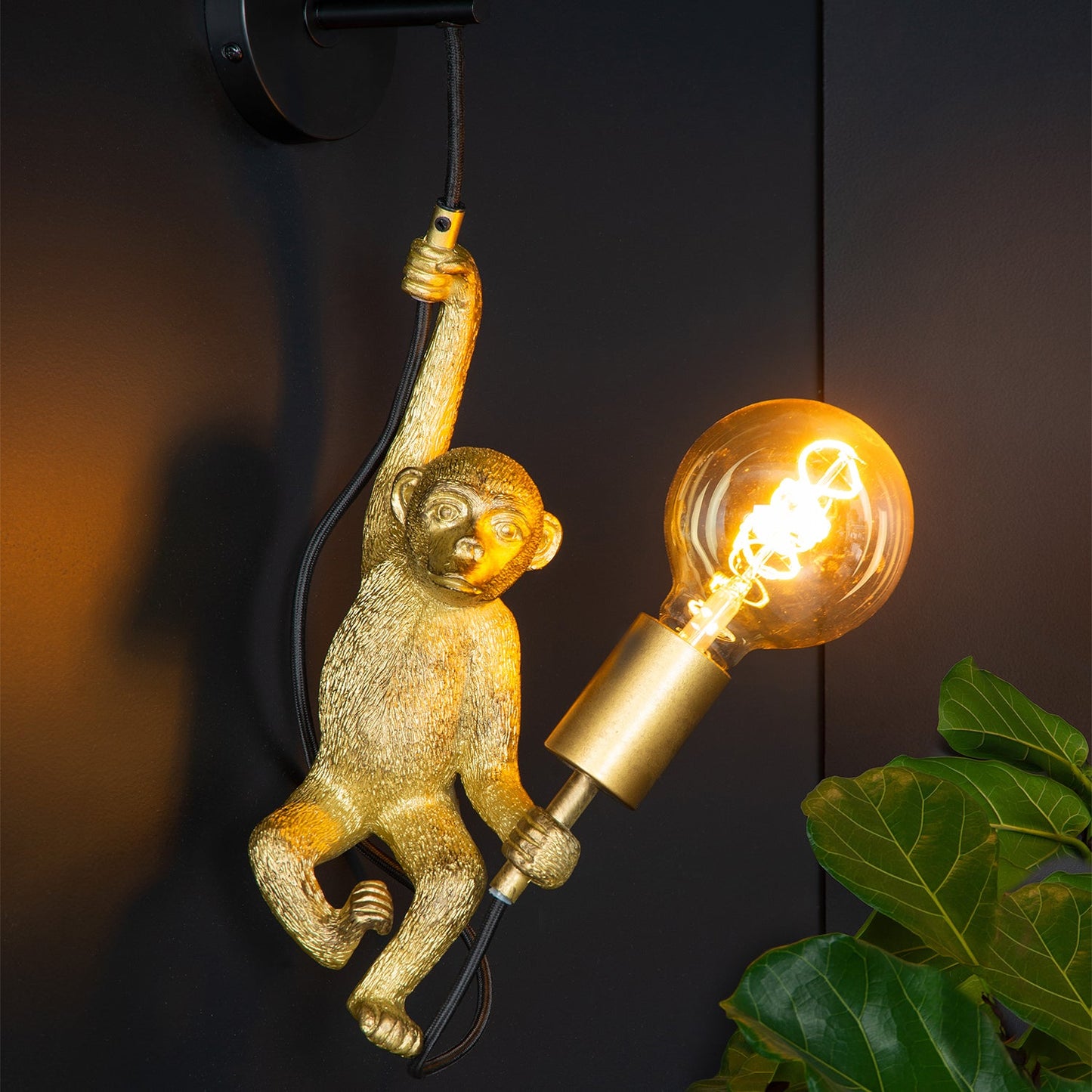 Extravaganza Chimp | Zwart